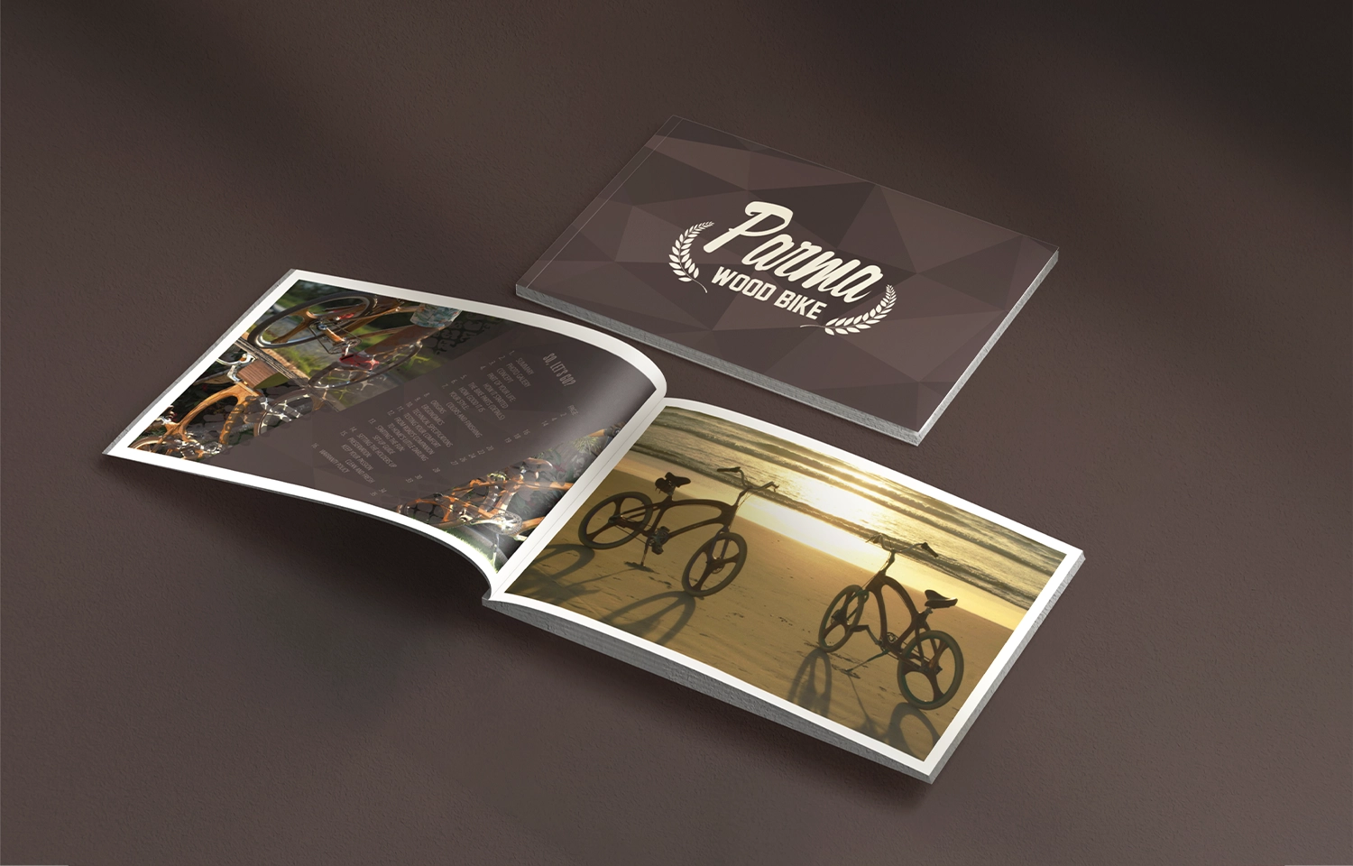 PARMA WOOD BIKE